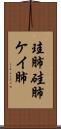 珪肺 Scroll
