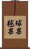 球果 Scroll