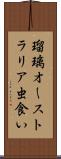 瑠璃オーストラリア虫食い Scroll