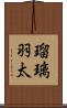 瑠璃羽太 Scroll