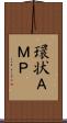 環状ＡＭＰ Scroll