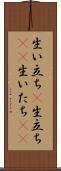 生い立ち(P) Scroll