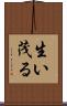 生い茂る Scroll