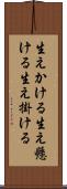 生えかける Scroll