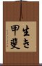 Ikigai Scroll