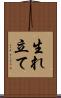 生れ立て Scroll