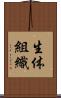 生体組織 Scroll
