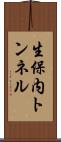 生保内トンネル Scroll