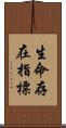 生命存在指標 Scroll