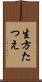 生方たつえ Scroll