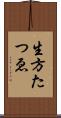 生方たつゑ Scroll