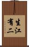 生江有二 Scroll