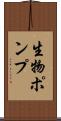 生物ポンプ Scroll