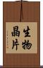 生物晶片 Scroll