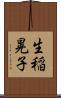 生稲晃子 Scroll
