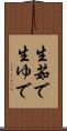 生茹で Scroll