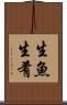 生魚 Scroll