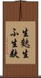 生麩 Scroll