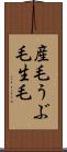 産毛 Scroll