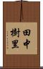 田中樹里 Scroll