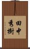 田中秀樹 Scroll