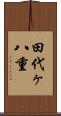 田代ヶ八重 Scroll