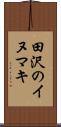 田沢のイヌマキ Scroll
