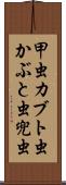 甲虫 Scroll