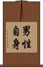 男性自身 Scroll