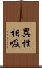 異性相吸 Scroll