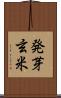 発芽玄米 Scroll