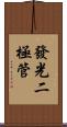 發光二極管 Scroll