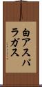 白アスパラガス Scroll