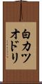 白カツオドリ Scroll