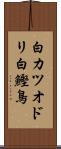 白カツオドリ Scroll