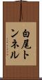 白尾トンネル Scroll