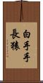 白手手長猿 Scroll