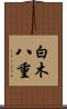白木八重 Scroll