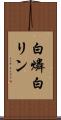 白燐 Scroll
