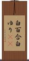 白百合 Scroll