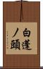 白蓬ノ頭 Scroll