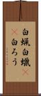 白蝋 Scroll