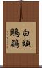 白頭鶪鶥 Scroll