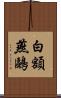 白額燕鷗 Scroll