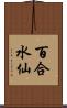 百合水仙 Scroll