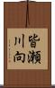 皆瀬川向 Scroll