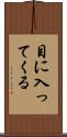 目に入ってくる Scroll