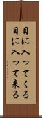 目に入ってくる Scroll