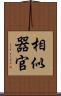 相似器官 Scroll