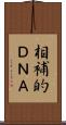 相補的ＤＮＡ Scroll